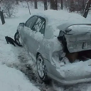 Mvc-005s.jpg