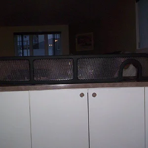 100_3925.JPG