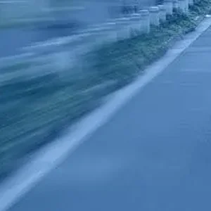 AutoEXERX85.jpg