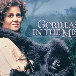 gorillasmist.webp