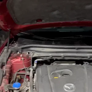 337590941_6041738265907275_8565939955091703645_n.mp4