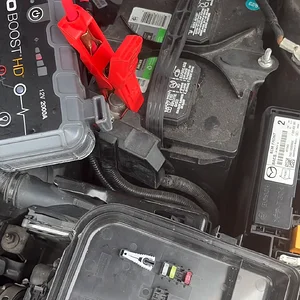 video.mov