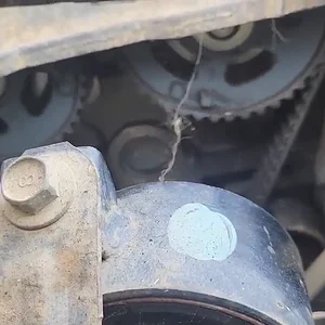 441308679_8341222729226590_7065014652778366886_n.mp4