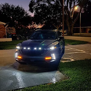 YouCut_20241114_154912540.mp4