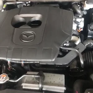 76179184512__E05C15AC-4B38-4245-A0C5-068AB89A34C4.MOV