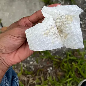 cx-5 Oil leak on napkin.webp