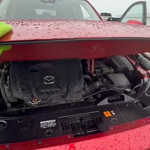 Hood struts.mp4
