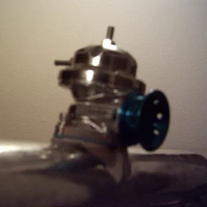 BOV.webp