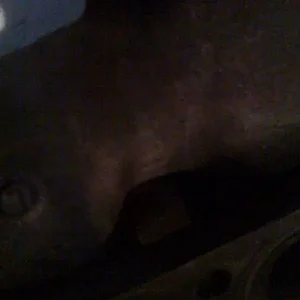 photo(3).webp