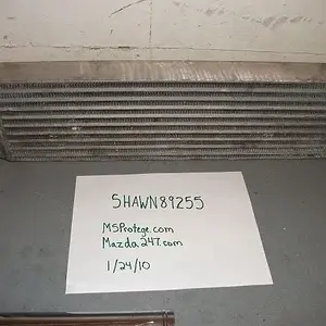 DSCF0338.webp
