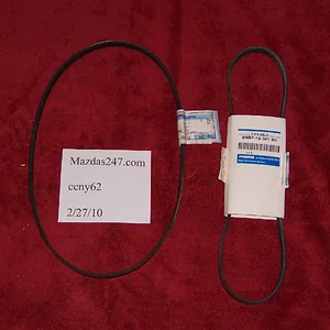 100_4960.webp