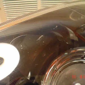 DSC01478.webp