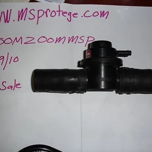DSC02628.webp