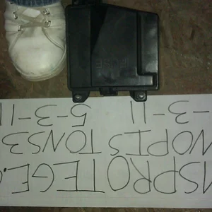 IMAG0159.webp