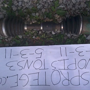 IMAG0163.webp