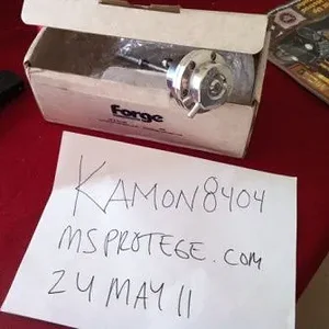 forge wastegate.webp