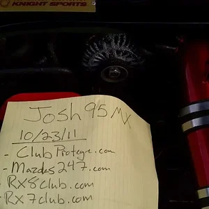 IMAG0994.webp