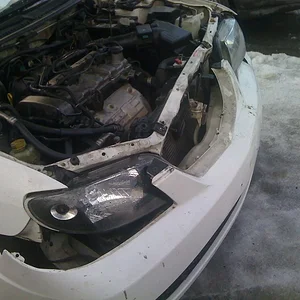 Picture 003.webp