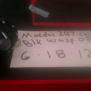 IMAG0286.webp