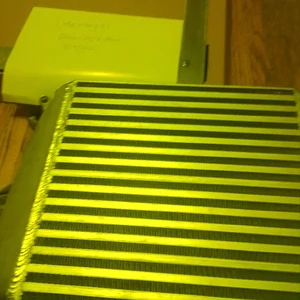 WP_000037.webp