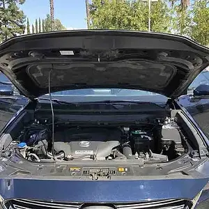 00I0I_96flZWDSyLq_600x450.webp