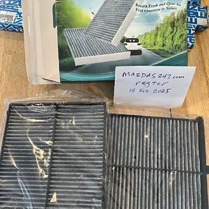Cabin air filters.webp