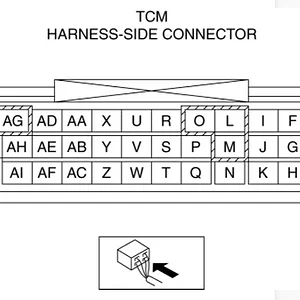 TCM-pinout.webp