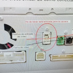 Imagen de WhatsApp 2025-08-14 a las 16.44.02_e58d742c.webp