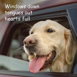 20250806-102236.webp
