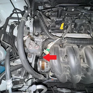 image1.webp