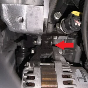 image2.webp