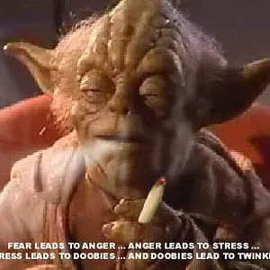 yoda&marijuana.webp