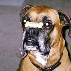 stay... stay... stay....webp