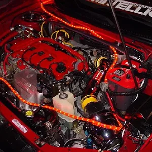 2nd red protege.webp