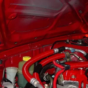 3rd red protege.webp