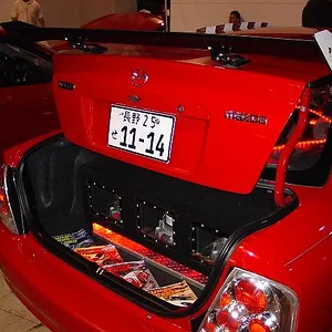 5th red protege.webp