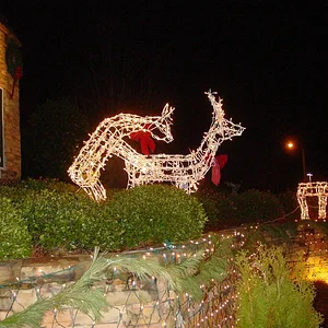 anglea cheer and jason's deer 012.webp