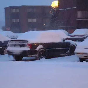 pro in the snow.webp