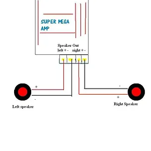 amp diagram.webp