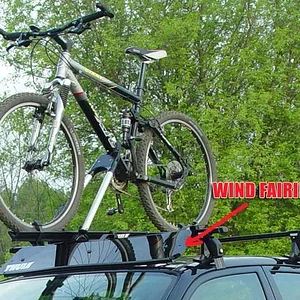 closeupfer copy.webp