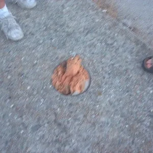 broken post hahaha.webp