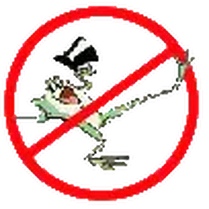 untitled-1 copy.webp