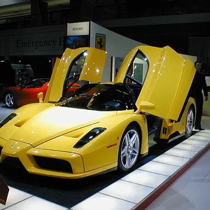 ferrari enzo.webp