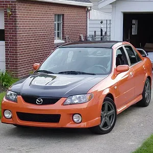 blackroof2.jpg
