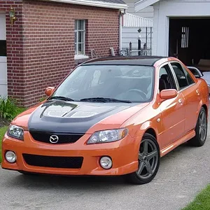blackroof3.jpg