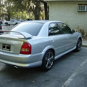 tint_sideback.jpg