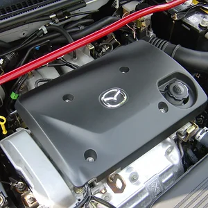 P5 COVER.jpg