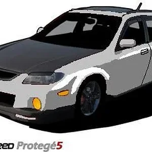 cell_msp5_5(1fastmp5)1.jpg