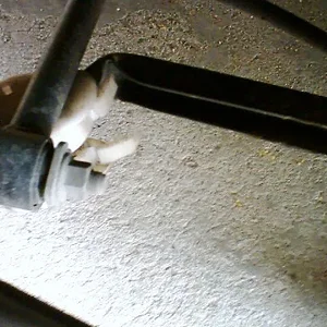 Picture 1.jpg