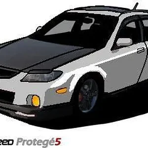 cell_msp5_5(1fastmp5)1.jpg